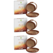 arga' cc terra uniformante sahara spf15 9 g nature's 3x9 g polvere