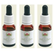 green essence australian 15 ml 3x15 ml essenza
