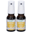 herbalgem respigem polmoni concentrato di gemme fresche gocce 2x15 ml
