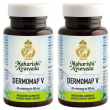 dermomap v 60 compresse 2x30 g