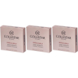 collistar cipria compatta impeccabile tonalitá 30g honey 3x1 st