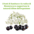colours of life sambuco formula compresse 4x30 g