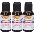 pranarom diffusore aria di festa sinergia bio eco 3x30 ml