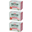 naturplus tisana fredda ricostituente rosa canina e ibisco 3x30,6 g