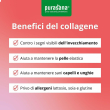 purasana feel beautiful beauty collagen polvere gusto watermelon 2x250