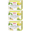 naturplus tisana limone e zenzero 3x30 g polvere per soluzione orale