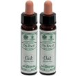 ainsworths dr.bach n°22 oak quercus robur 2x10 ml