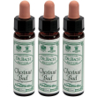 ainsworths dr.bach n°7 chestnut bud aesculus hippocastanum 3x10 ml