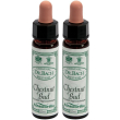 ainsworths dr.bach n°7 chestnut bud aesculus hippocastanum 2x10 ml