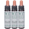 ainsworths dr.bach n°28 scleranthus annuus 3x10 ml