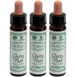 ainsworths dr.bach n°6 cherry plum prunus cerasifera 3x10 ml