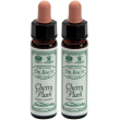 ainsworths dr.bach n°6 cherry plum prunus cerasifera 2x10 ml