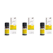 pranarôm - aromapic serata estiva tranquilla bio- repellente naturale