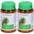 arkopharma arkocapsule ananas 2x23 g capsule