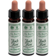 ainsworths dr.bach n°26 rock rose helianthemum nummularium 3x10 ml