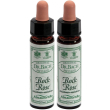 ainsworths dr.bach n°26 rock rose helianthemum nummularium 2x10 ml