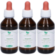 sangalli sequoia macerato glicerico gocce 3x100 ml orali