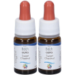 sweet chestnut guna gocce 10 ml 2x10 ml orali
