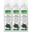 rausch dry shampooo fresh 3x150 ml