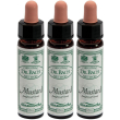 ainsworths dr.bach n°21 mustard sinapis arvensis 3x10 ml