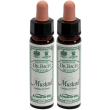 ainsworths dr.bach n°21 mustard sinapis arvensis 2x10 ml