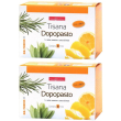 naturplus tisana dopopasto 2x30 g