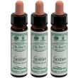 ainsworths dr.bach n°12 gentian gentianella amarella 3x10 ml