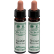 ainsworths dr.bach n°12 gentian gentianella amarella 2x10 ml