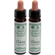 ainsworths dr.bach n°8 chicory cichorium intybus 2x10 ml