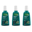 rausch men shampoo energizzante al ginepro 3x200 ml