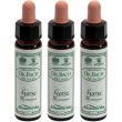 ainsworths dr.bach n°13 gorse ulex europaeus 3x10 ml
