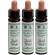 ainsworths dr.bach n°27 rock water 3x10 ml