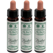 ainsworths dr.bach n°14 heather 3x10 ml