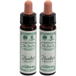 ainsworths dr.bach n°14 heather 2x10 ml