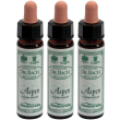 ainsworths dr.bach n°2 aspen populus tremula gocce 3x10 ml