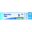 aesculus hipp.tubo  9ch