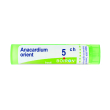 anacardium orientale 5ch granuli multidose boiron