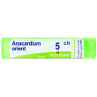 anacardium orient 5ch gr
