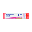 anacardium orientale 7ch granuli multidose boiron