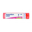 boiron anacardium orientale granuli 7 ch tubo medicinale omeopatico