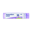 anacardium orient.tubo 30ch
