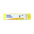 arnica montana 4ch gr bo