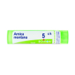 arnica montana 5ch gr bo