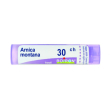 boiron arnica 30ch gr 4g