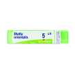 blatta orientalis 5ch granuli multidose boiron