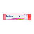 cantharis 7ch granuli