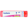 bo.cantharis tubo  7ch