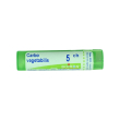 carbo vegetabilis 5 granuli omeopatici tubo 4 gr - boiron
