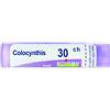 colocynthis tubo 30ch