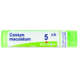 conium maculatum 5ch gr